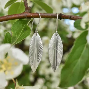 Silver Willow Leaf Earrings