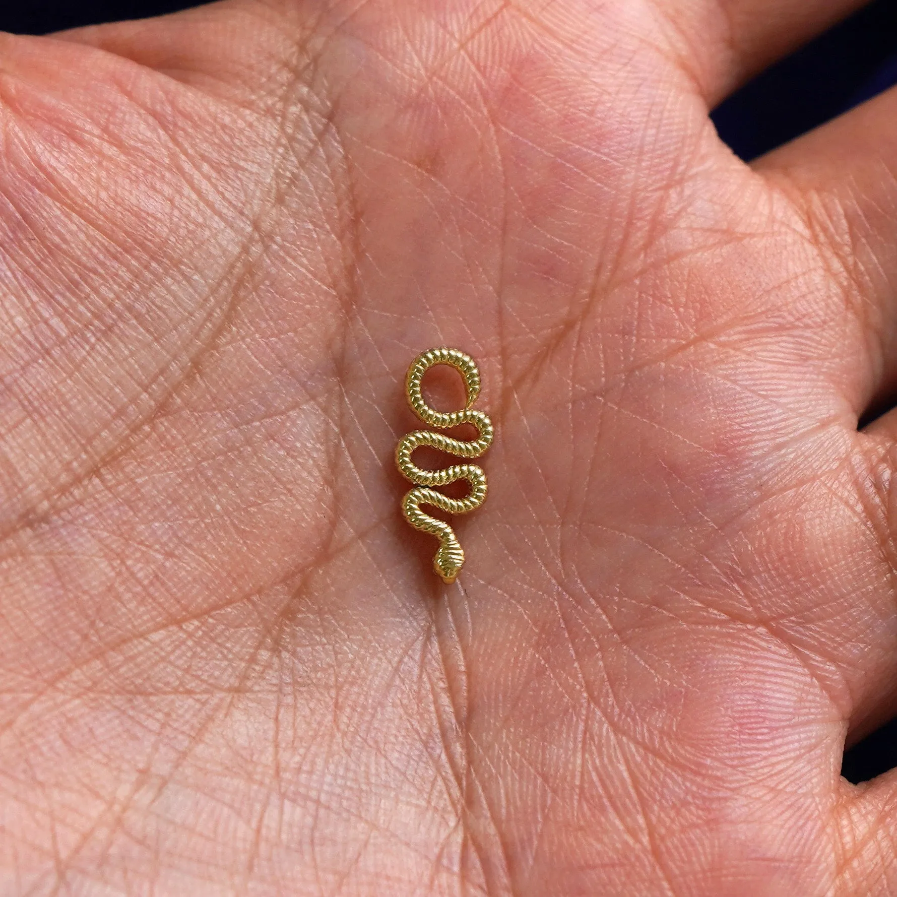 Snake Charm