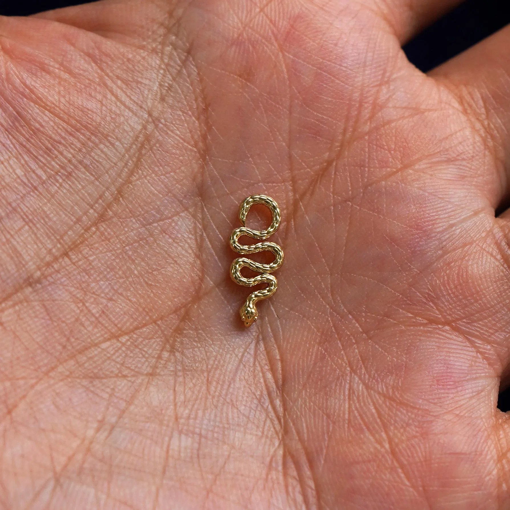 Snake Charm