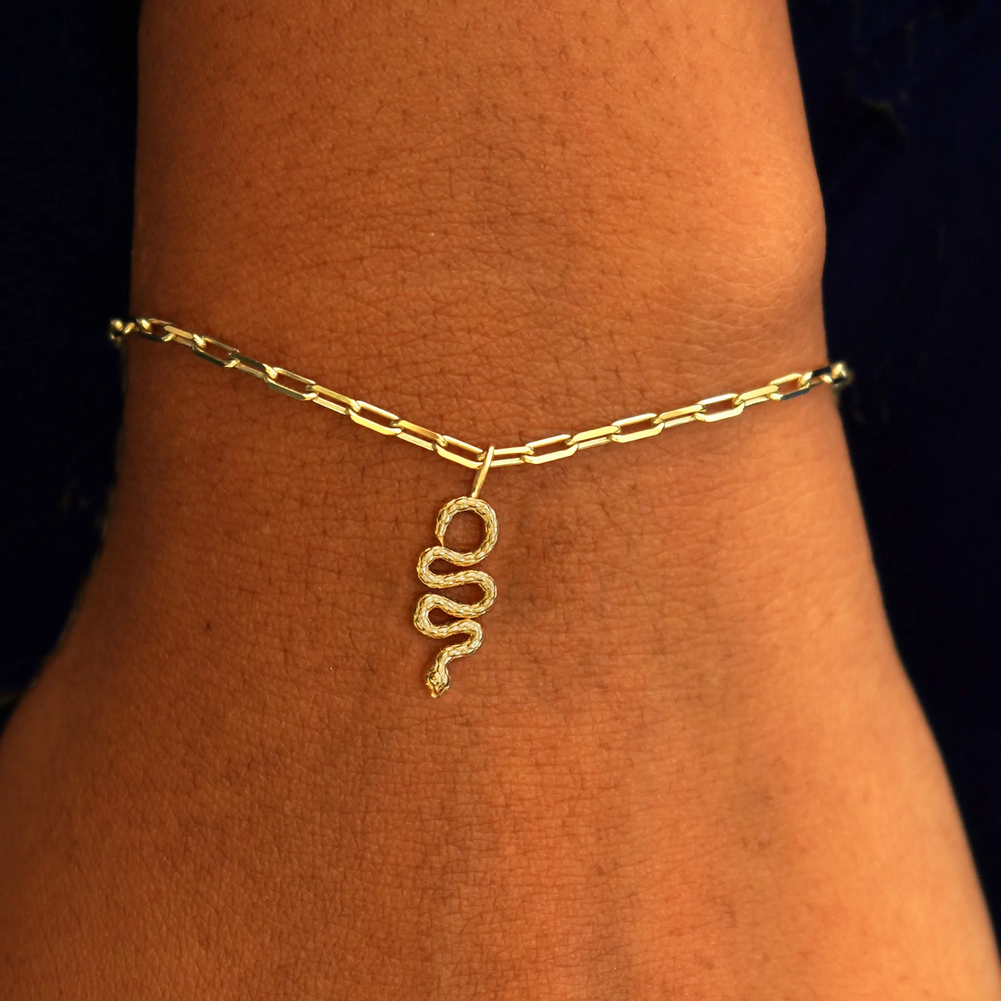 Snake Charm