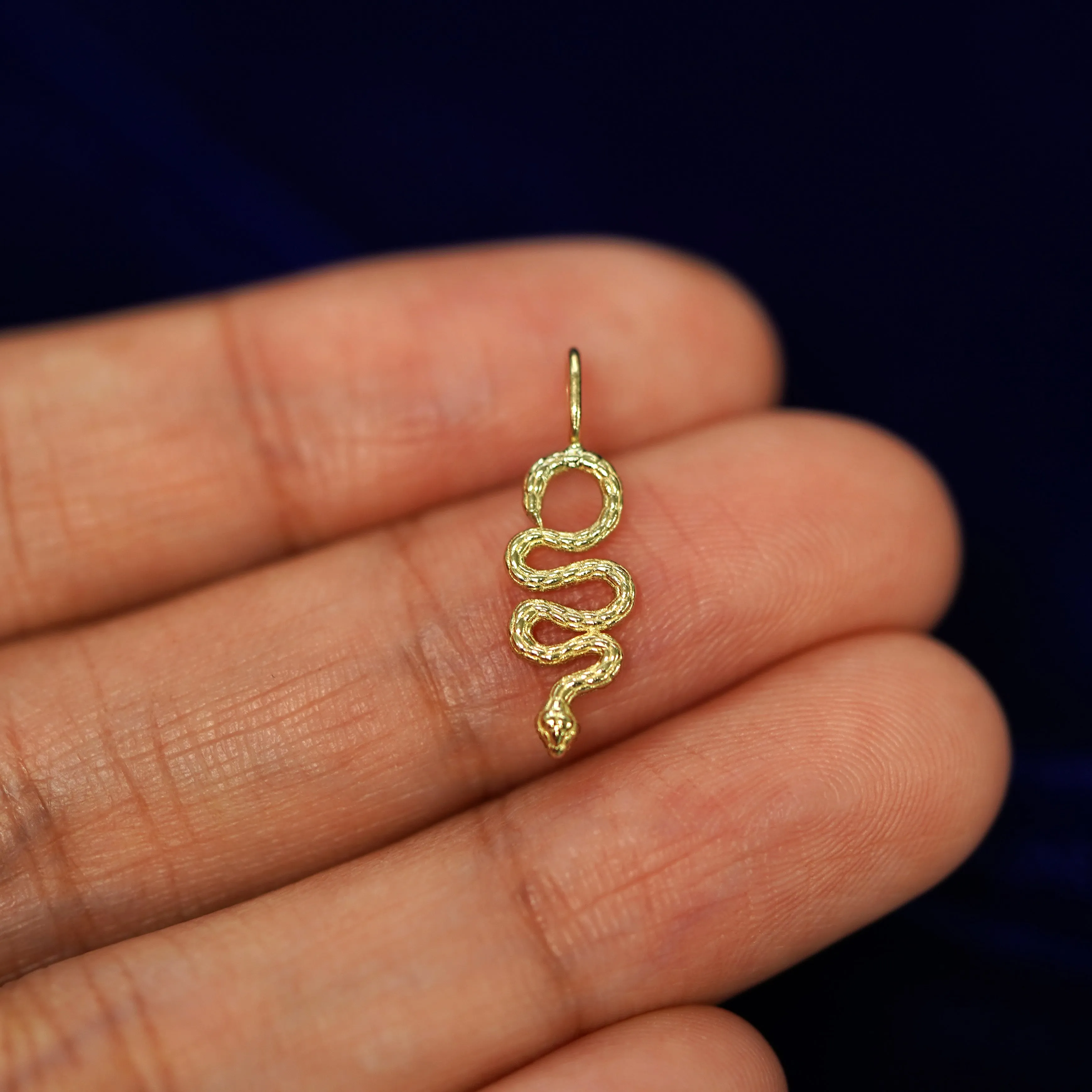Snake Charm
