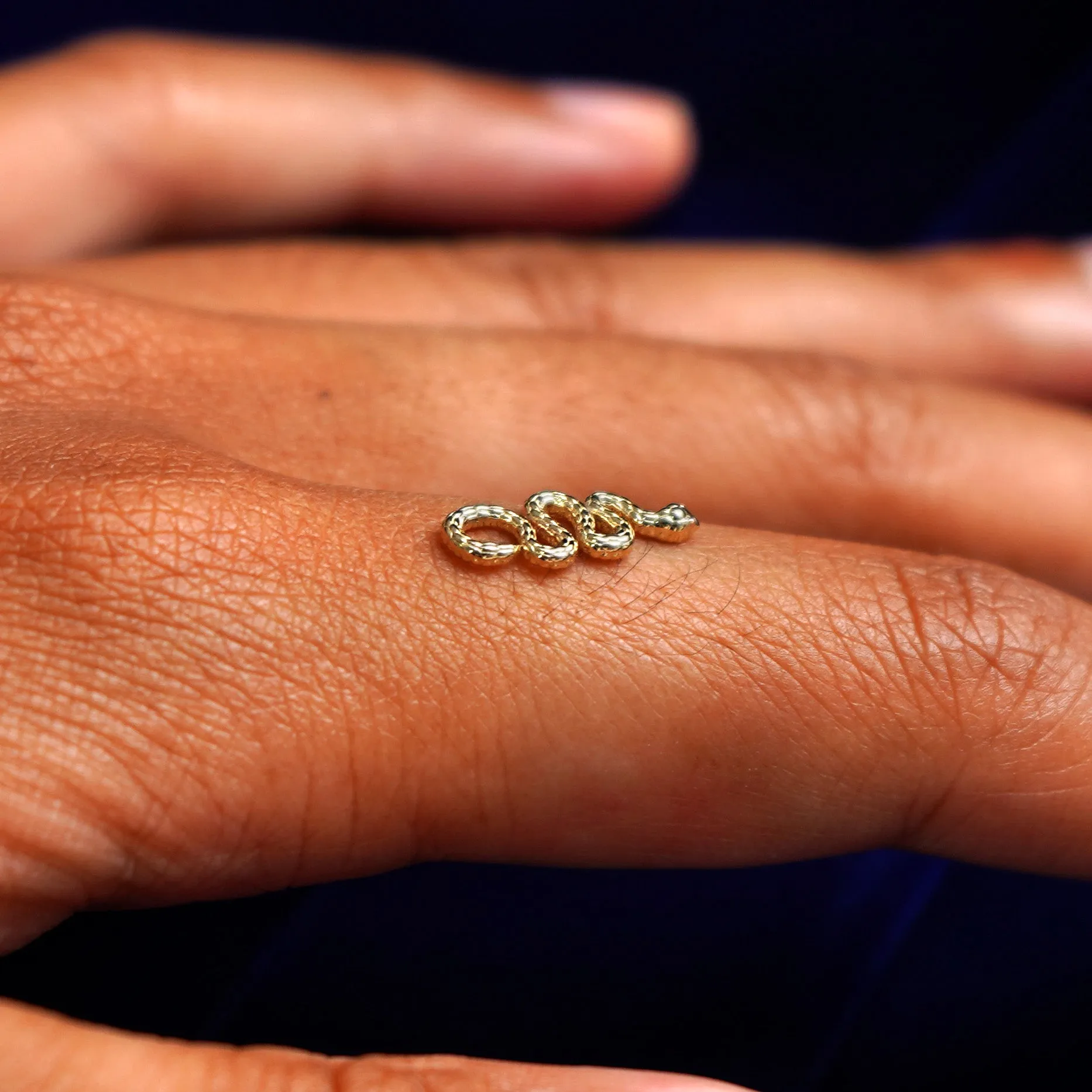 Snake Charm