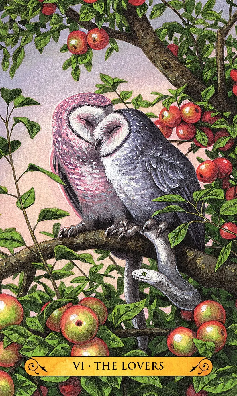 Tarot of the Owls Mini