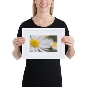 The Daisy Dream Framed Print (2/2)