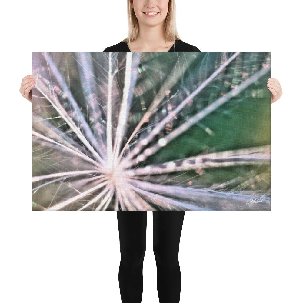 The Fluff Topped Dandelion Canvas