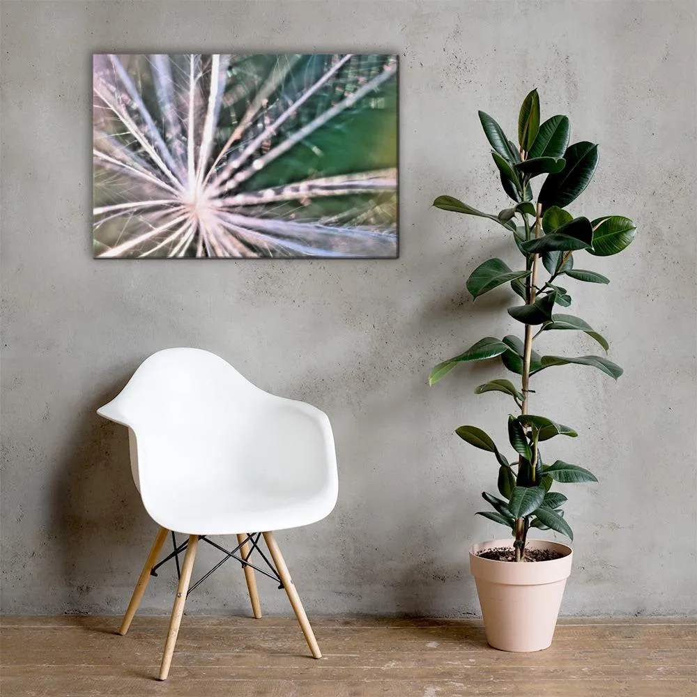 The Fluff Topped Dandelion Canvas