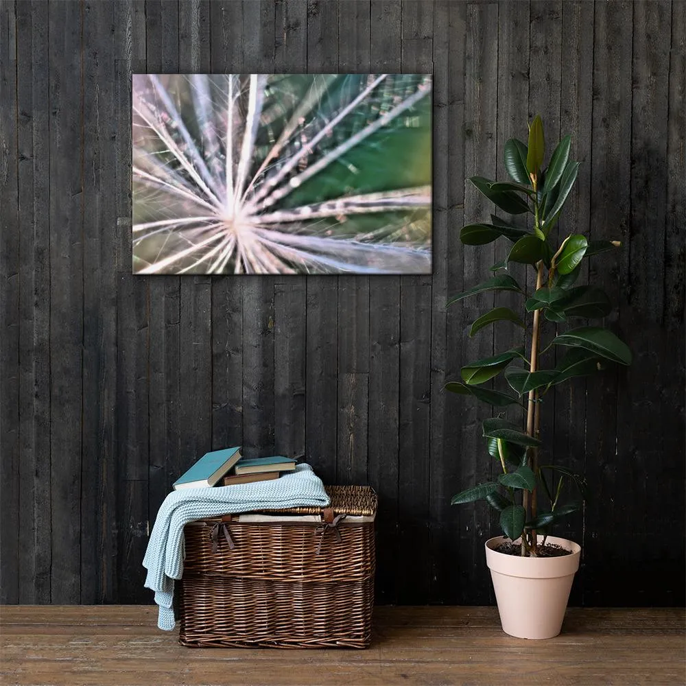 The Fluff Topped Dandelion Canvas