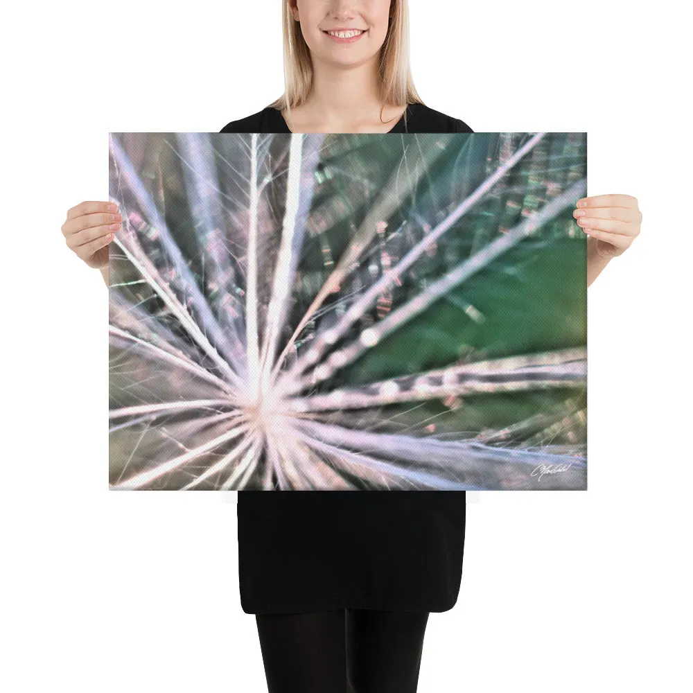 The Fluff Topped Dandelion Canvas