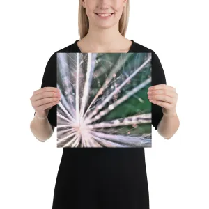 The Fluff Topped Dandelion Canvas