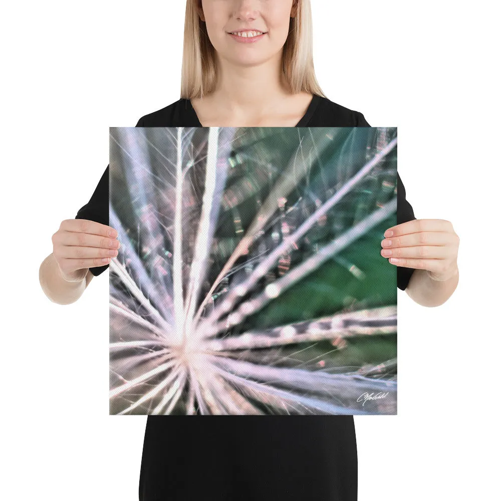The Fluff Topped Dandelion Canvas