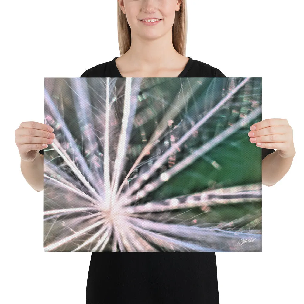The Fluff Topped Dandelion Canvas