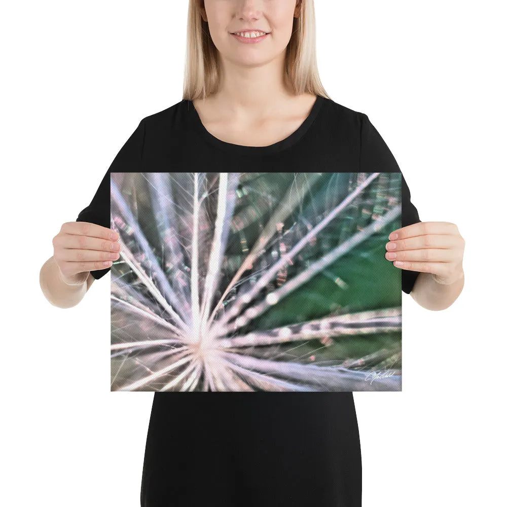 The Fluff Topped Dandelion Canvas