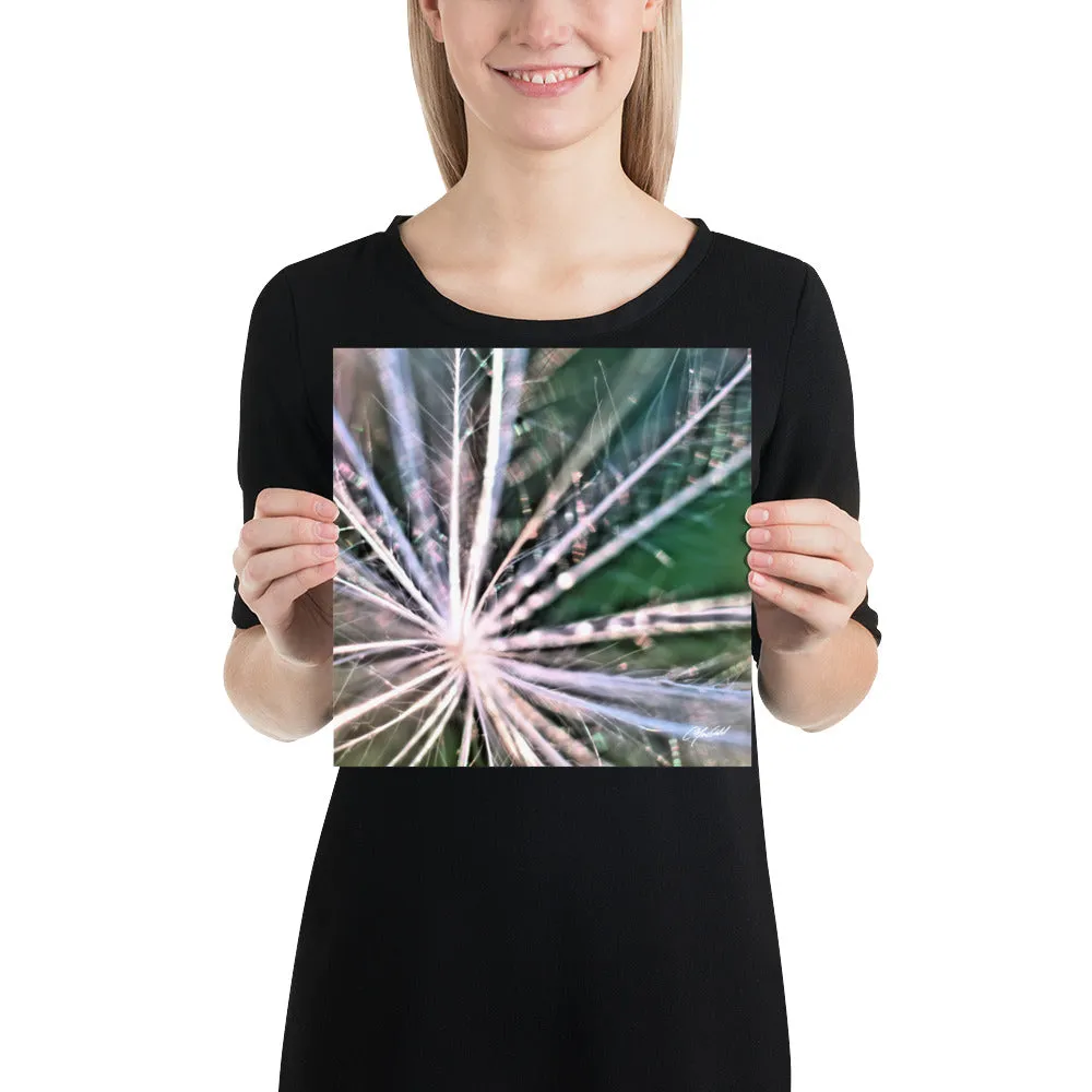 The Fluff Topped Dandelion Print
