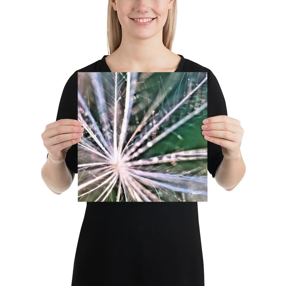 The Fluff Topped Dandelion Print