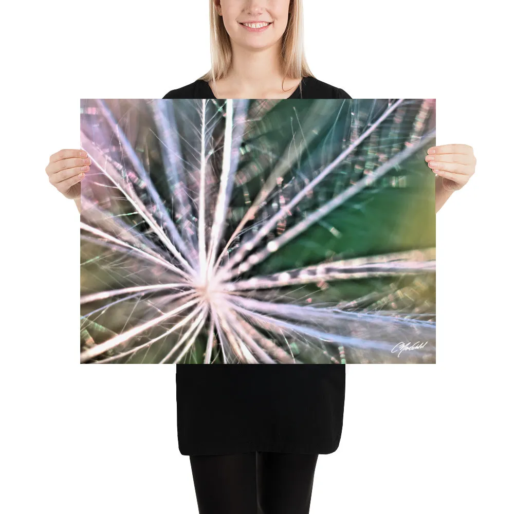 The Fluff Topped Dandelion Print