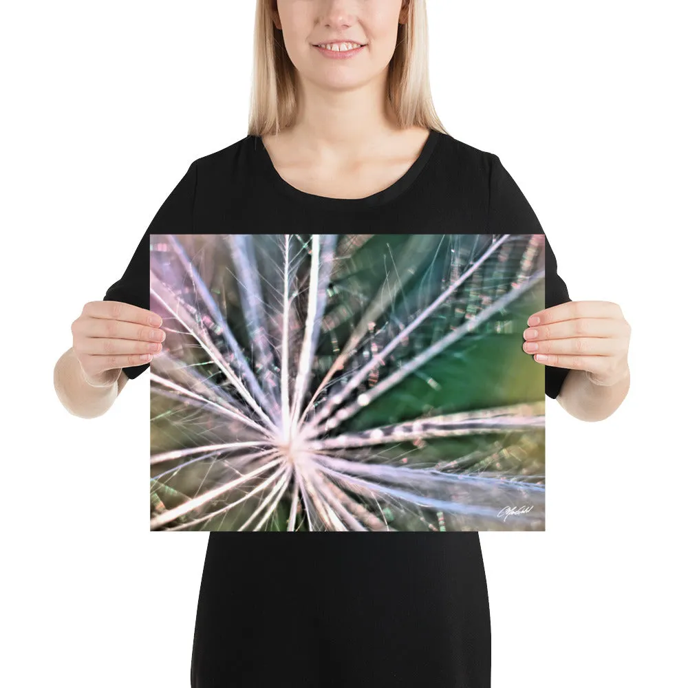 The Fluff Topped Dandelion Print