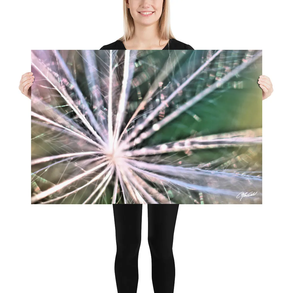 The Fluff Topped Dandelion Print