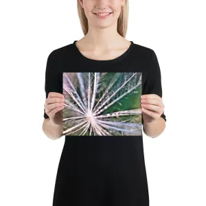 The Fluff Topped Dandelion Print