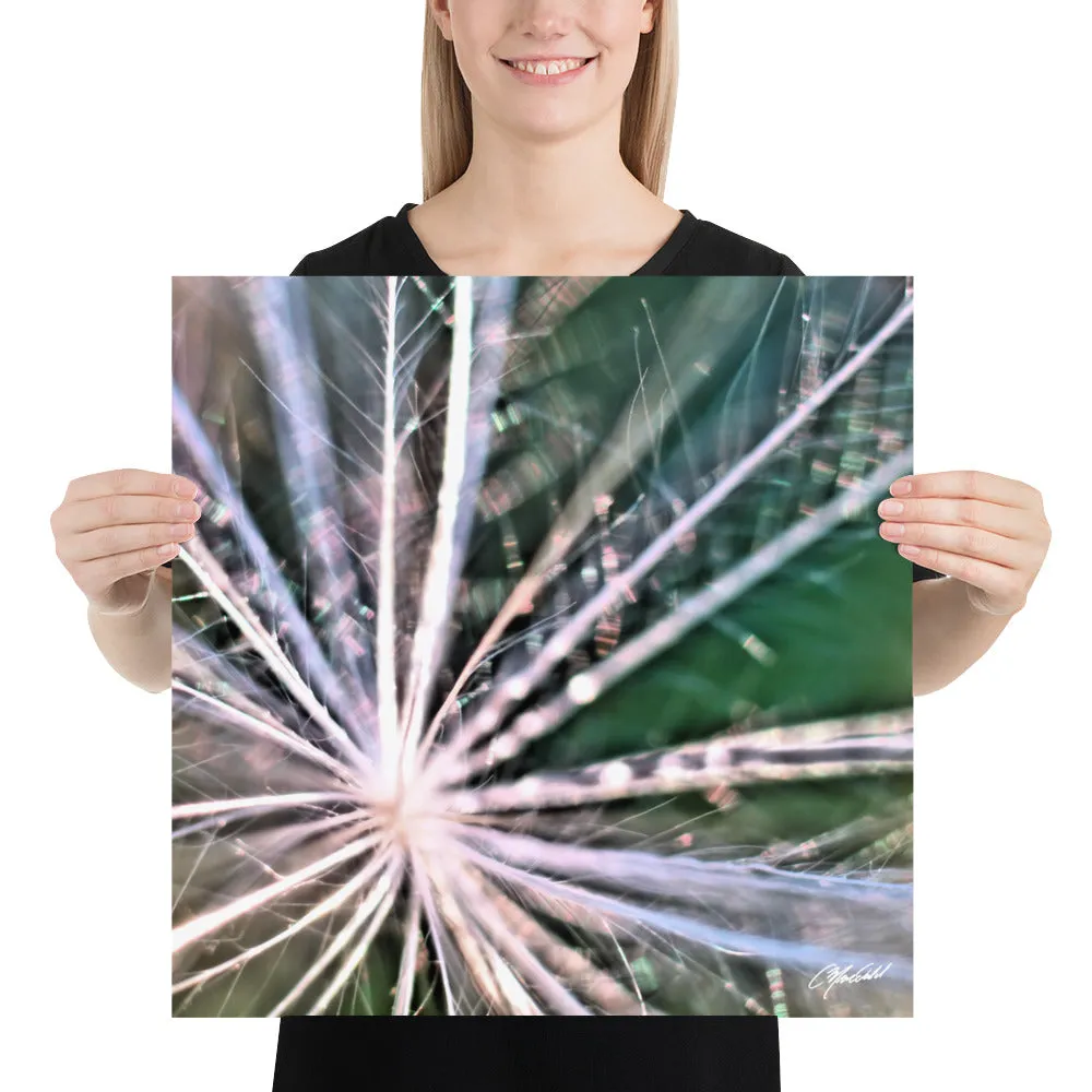 The Fluff Topped Dandelion Print