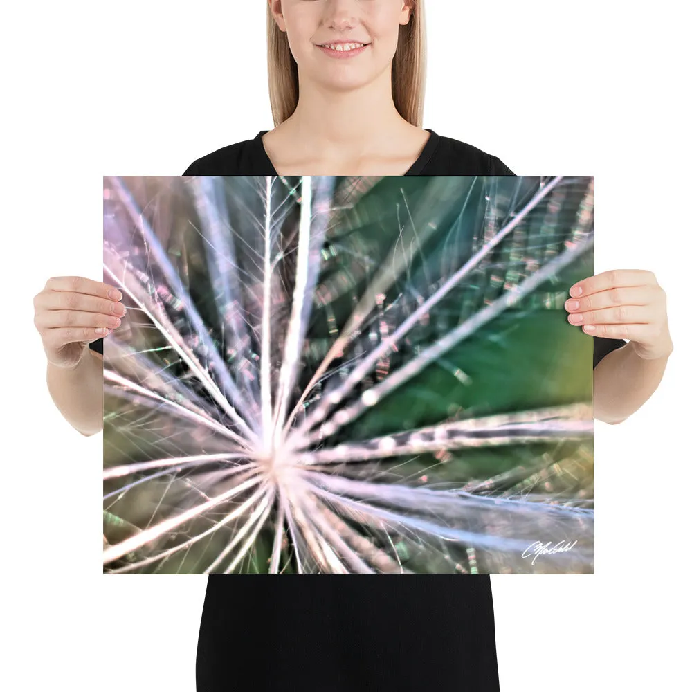 The Fluff Topped Dandelion Print