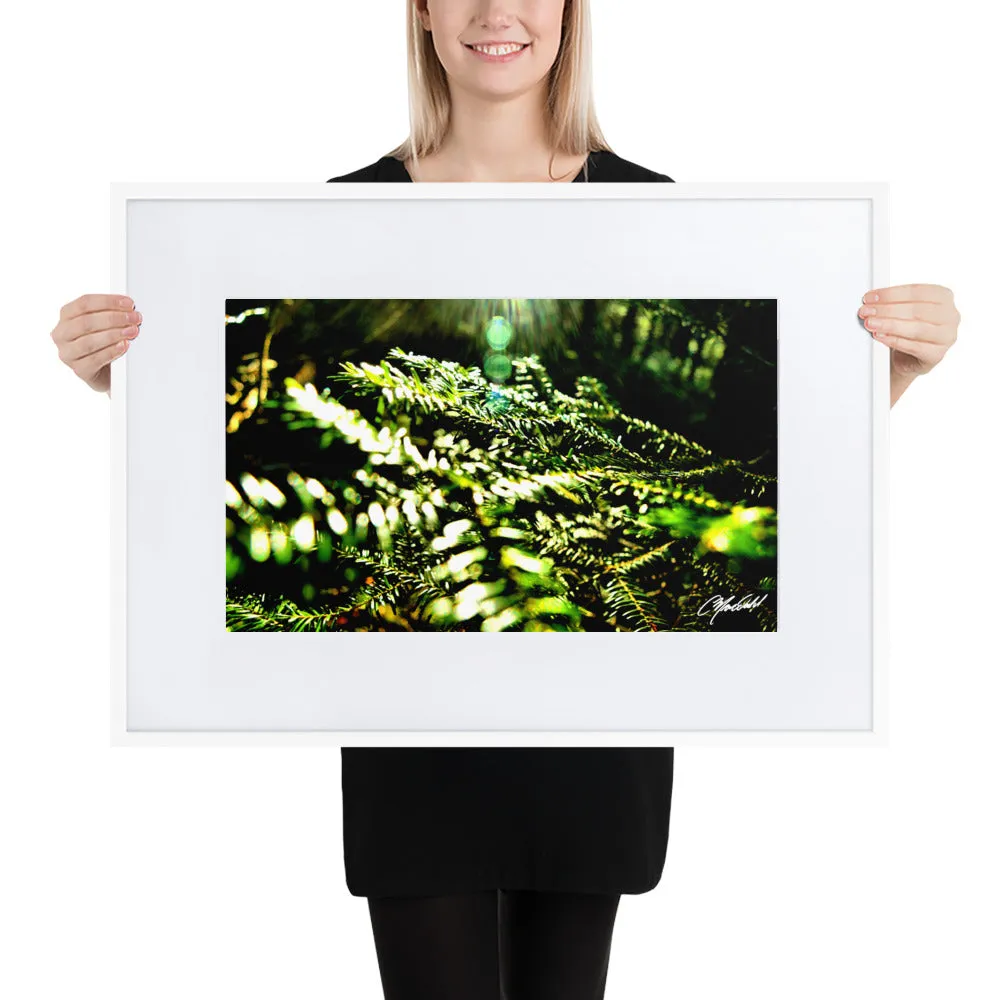 The New Every Morning Framed Print