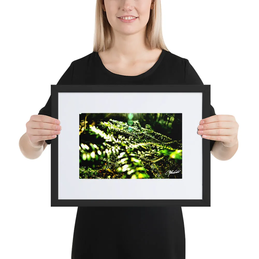 The New Every Morning Framed Print