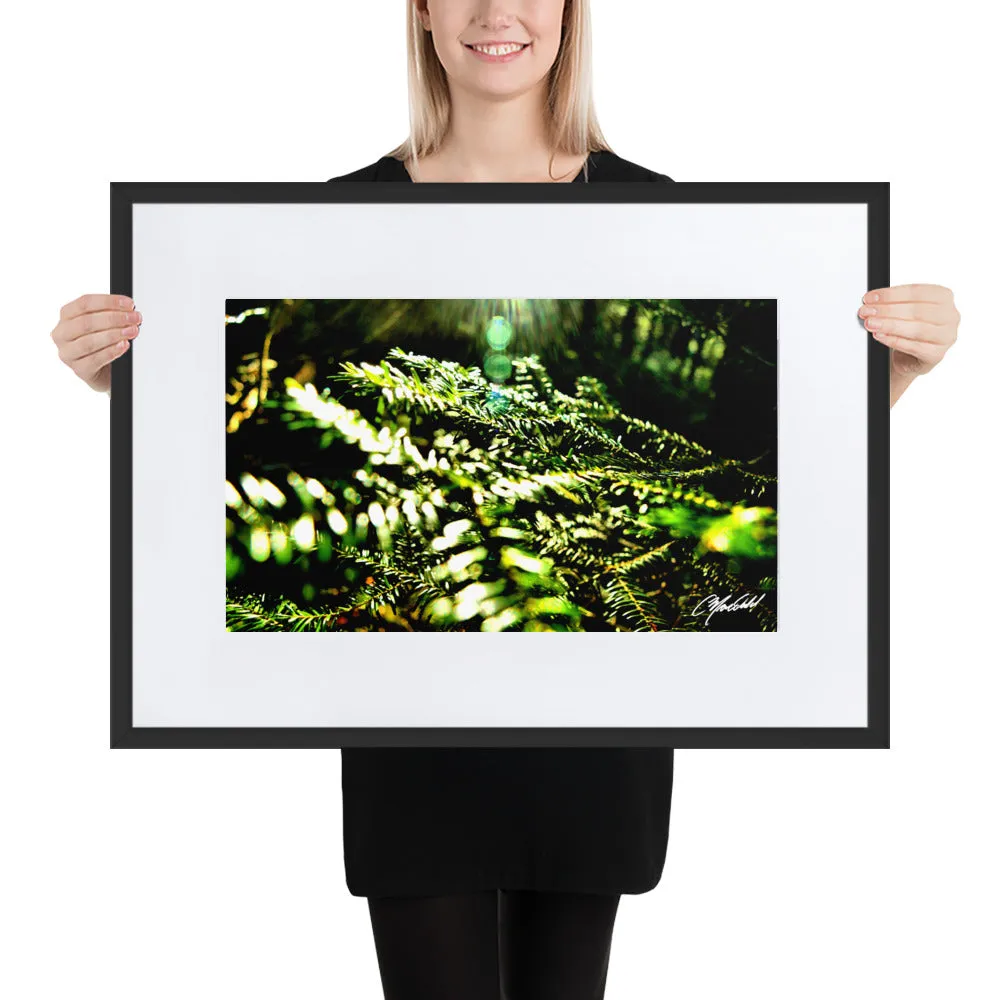 The New Every Morning Framed Print