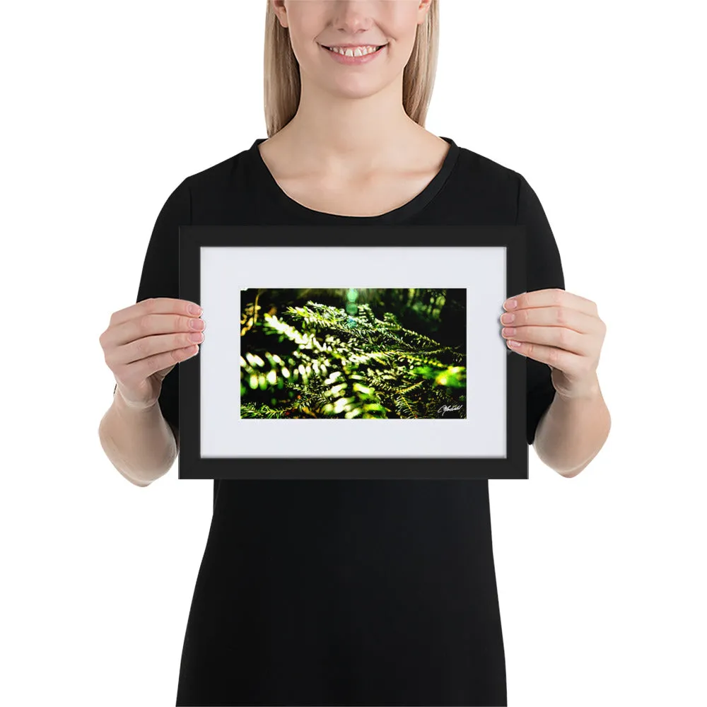 The New Every Morning Framed Print