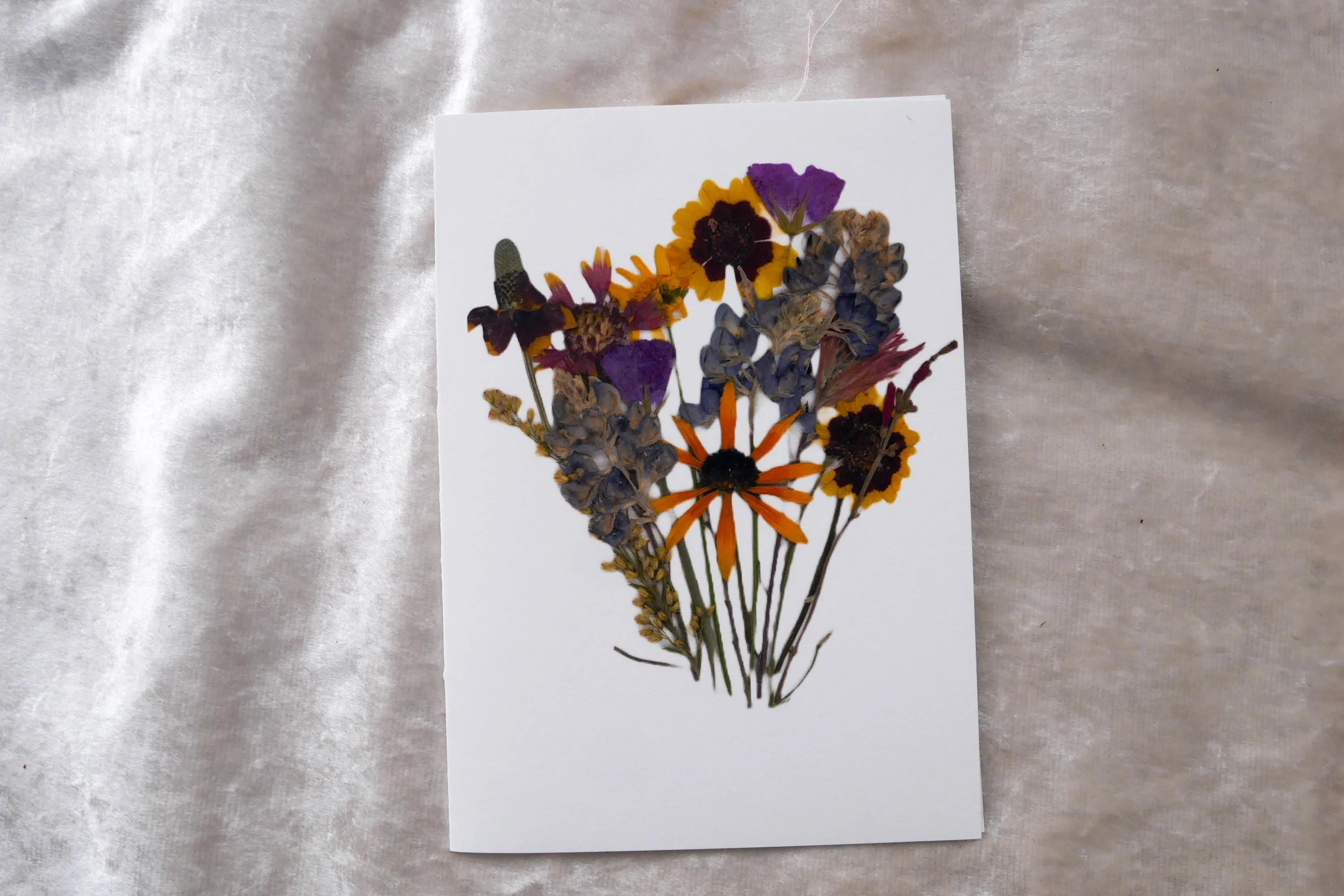 Title: Pressed Texas wildflower Greeting Card –PRINT, Blank Inside, Flowers Grown on Our Texas Farm