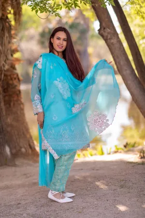 Turquoise Organza Embroidered Suit - Salwar Kameez