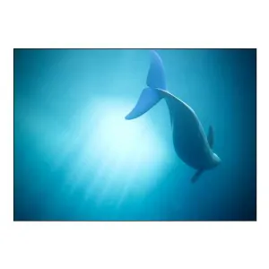 Velure Moana