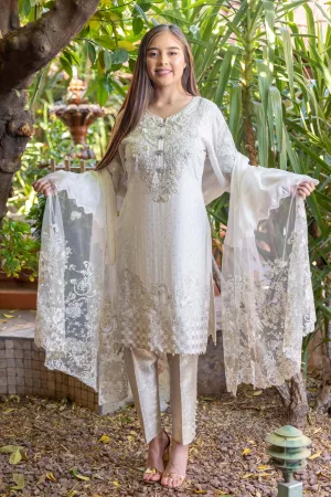 White Chiffon Shirt & Net Scarf Embroidery Suit-Salwar Kameez